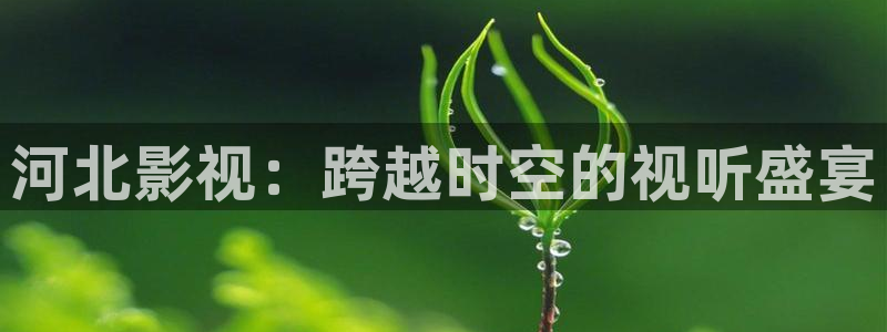 飘花电影资源网