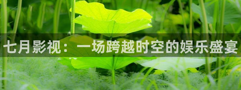 飘花电影网yy6680