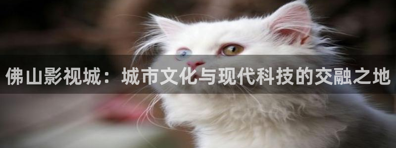 飘花影院在线视频